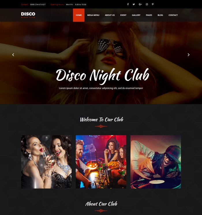 Disco - Night Club HTML Template