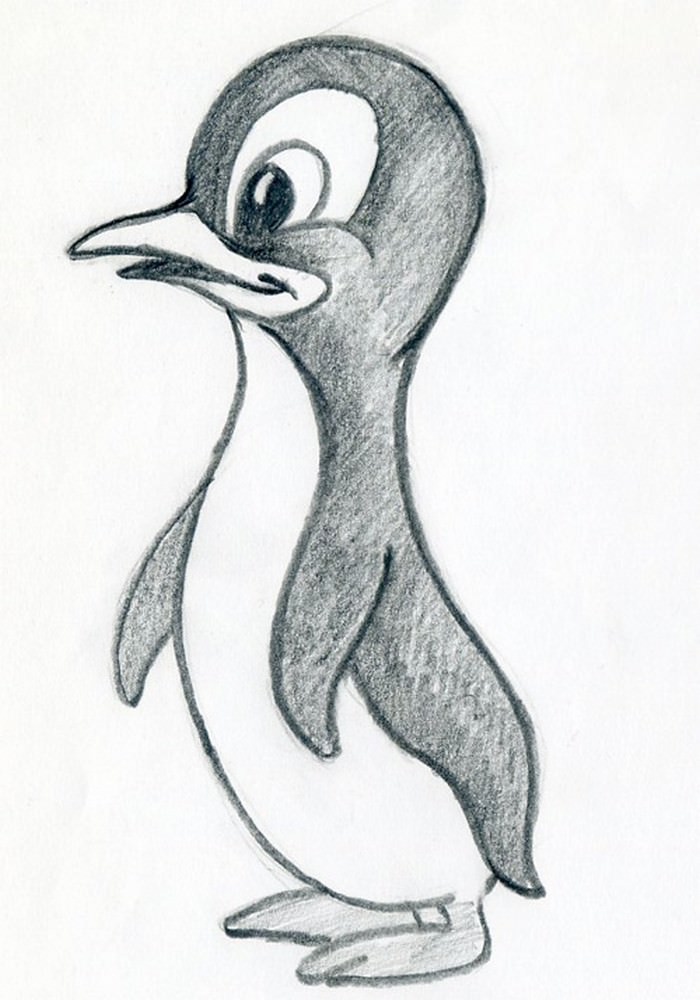 Draw Cartoon Penguin