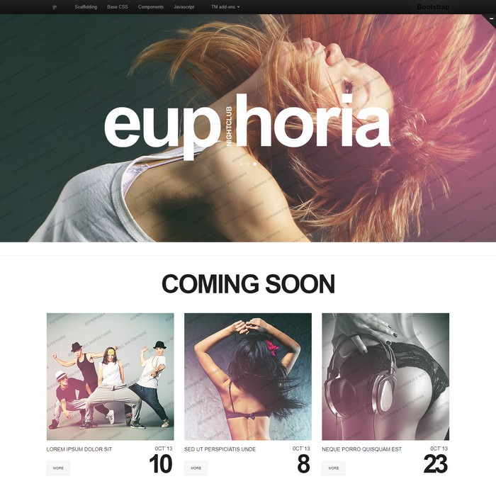 Euphoria Night Club Responsive Website Template