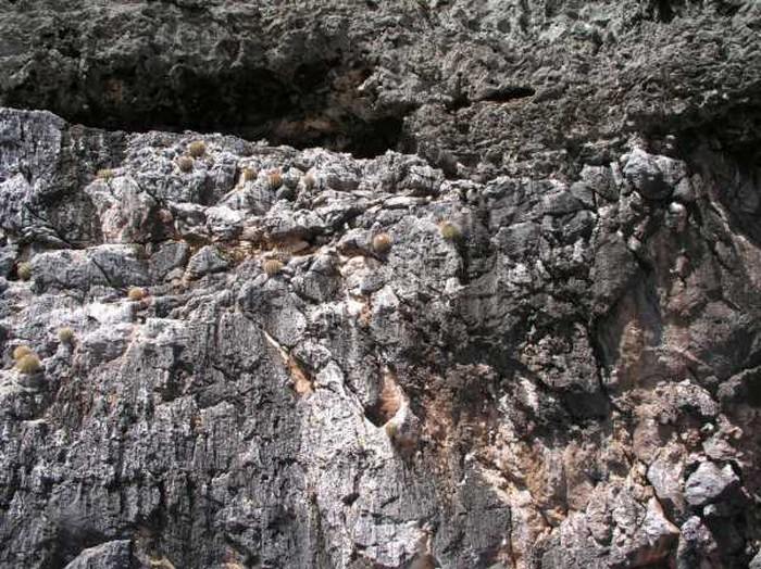 Rugged Volcanic Cliff Texture