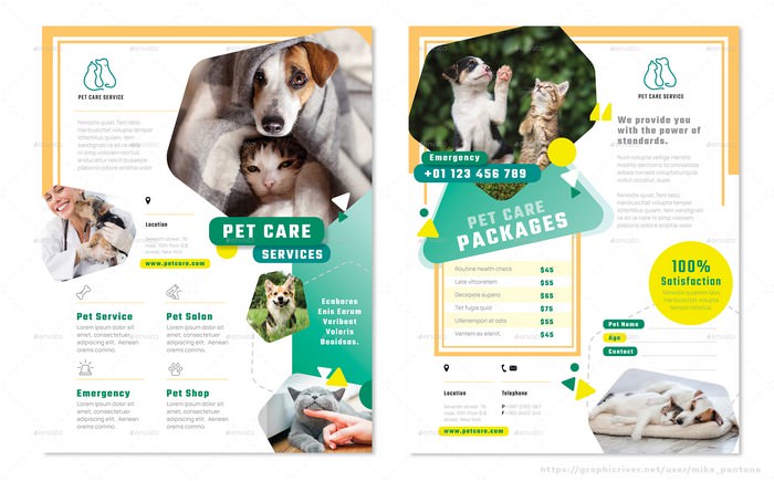 Pet Care Flyers 4 Options