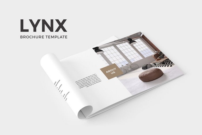Lynx Brochure