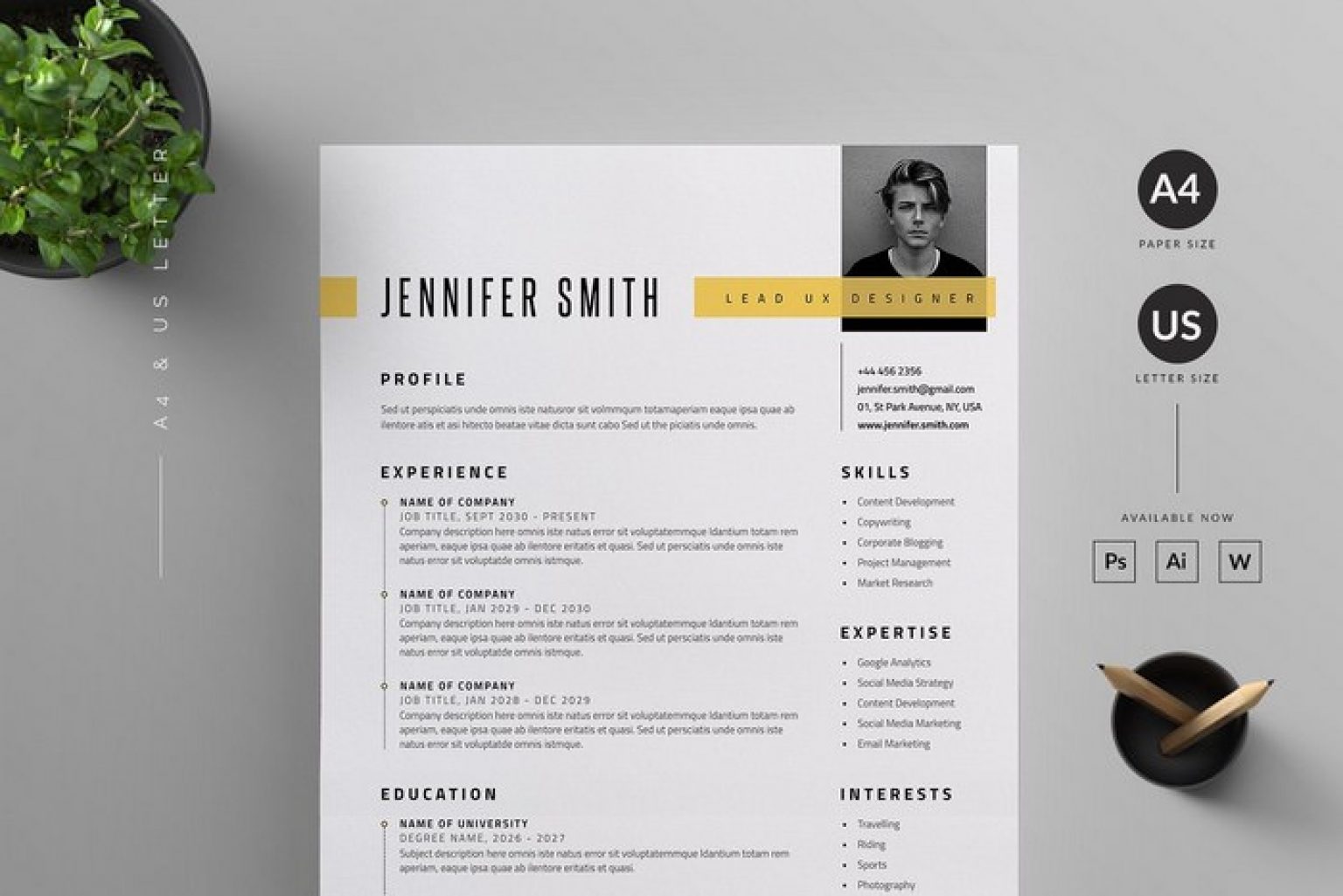 30+ Effective Resume Mockup Templates 2020   Templatefor