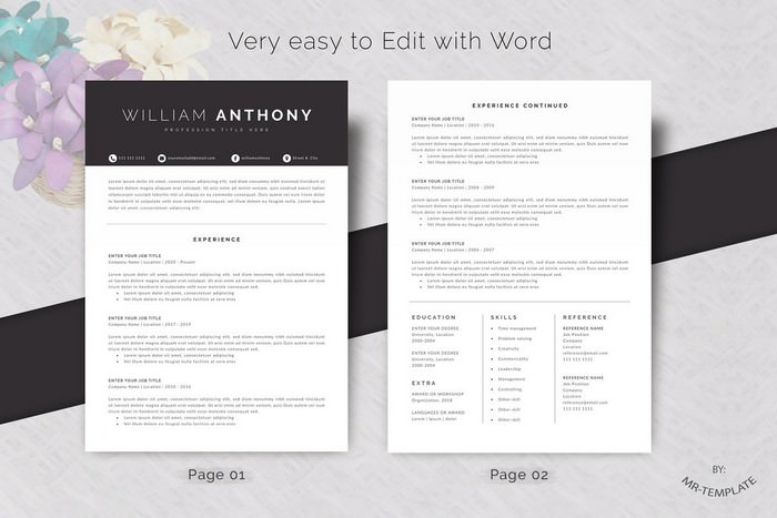 Resume -CV 4 Pages Word