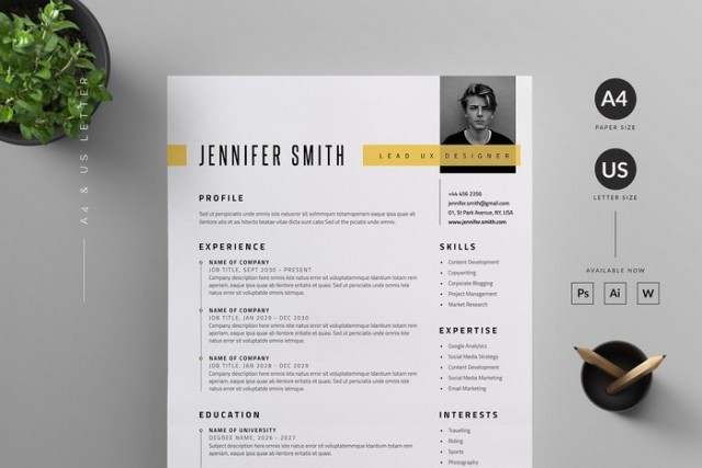 26 Effective Resume Mockup Templates 2024 - Templatefor