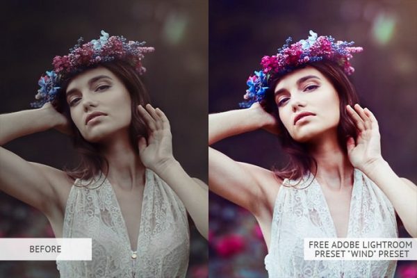 60 Top Lightroom Presets 2024 (Free & Premium) - Templatefor