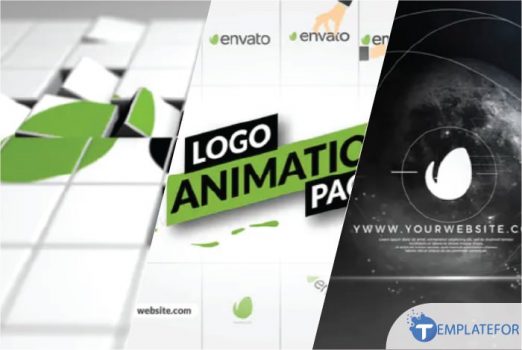 Logo Animation After Effect