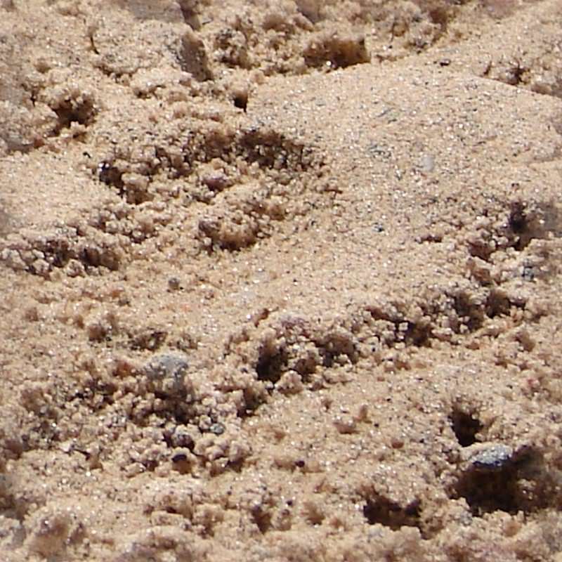 Gritty Seamless Sand Texture