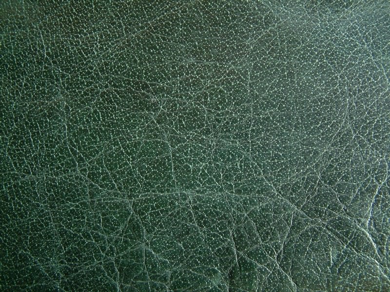 Leather Texture Green
