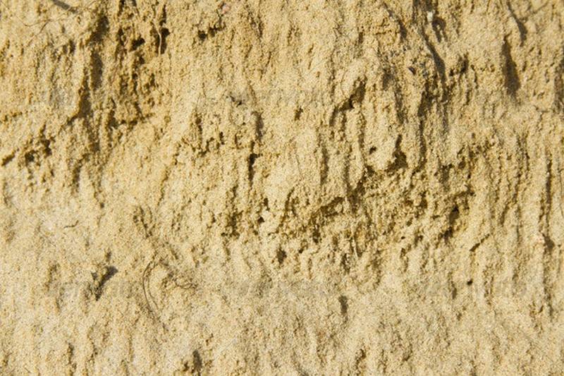 Sand Texture # 2