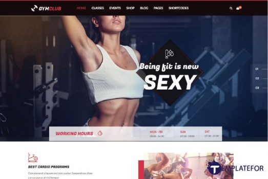 Gym and Fitness WordPress Themes