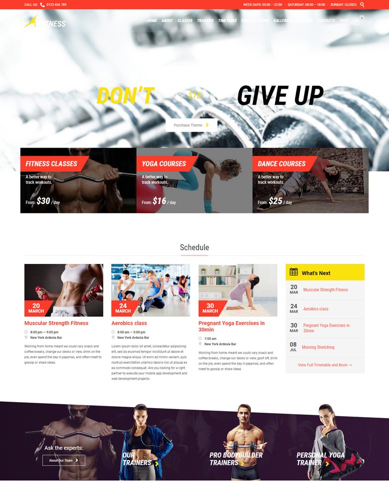 Gym - Fitness WordPress