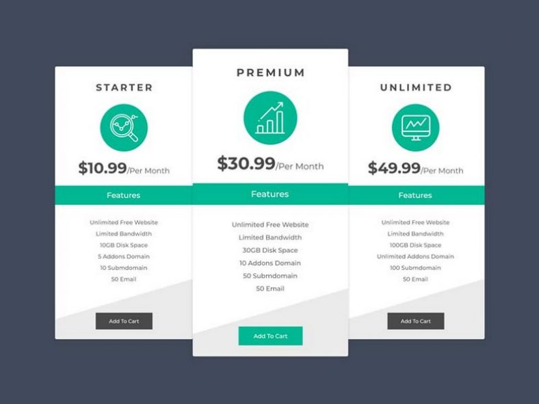 35 Best Pricing Table Template PSD, XD, EPS, AI, JPEG - 2024 - Templatefor