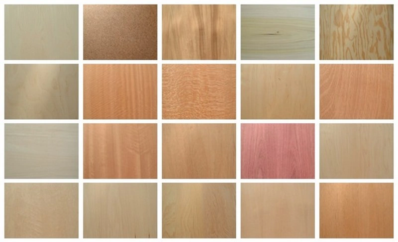 45 Wood Textures