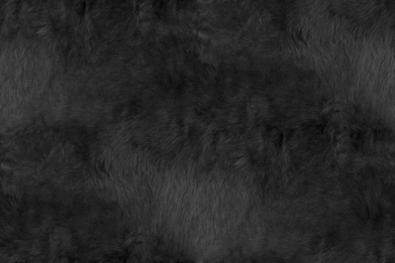 Black Llama Coat Texture