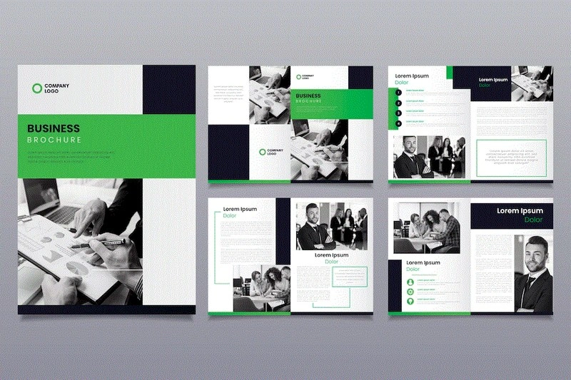 Brochure Business Template Layout