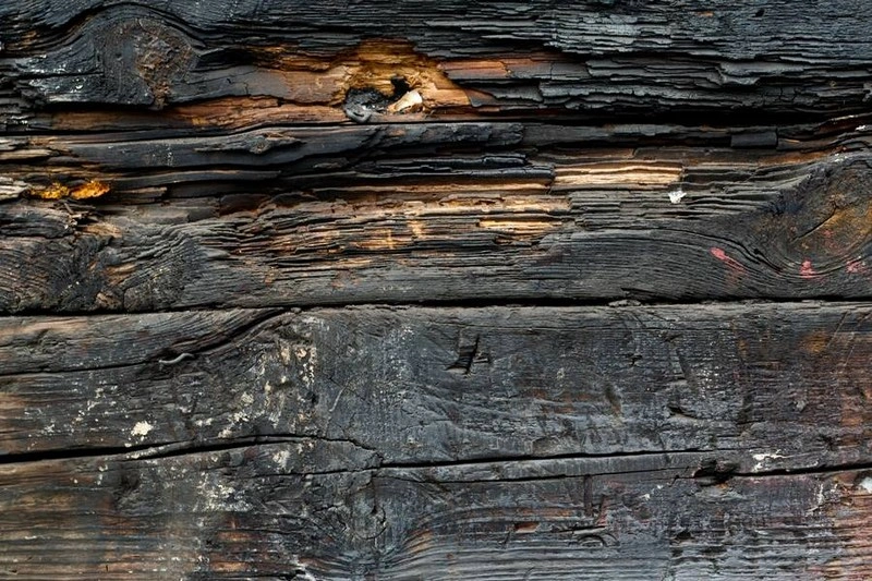 Burnt Wood Plank Texture