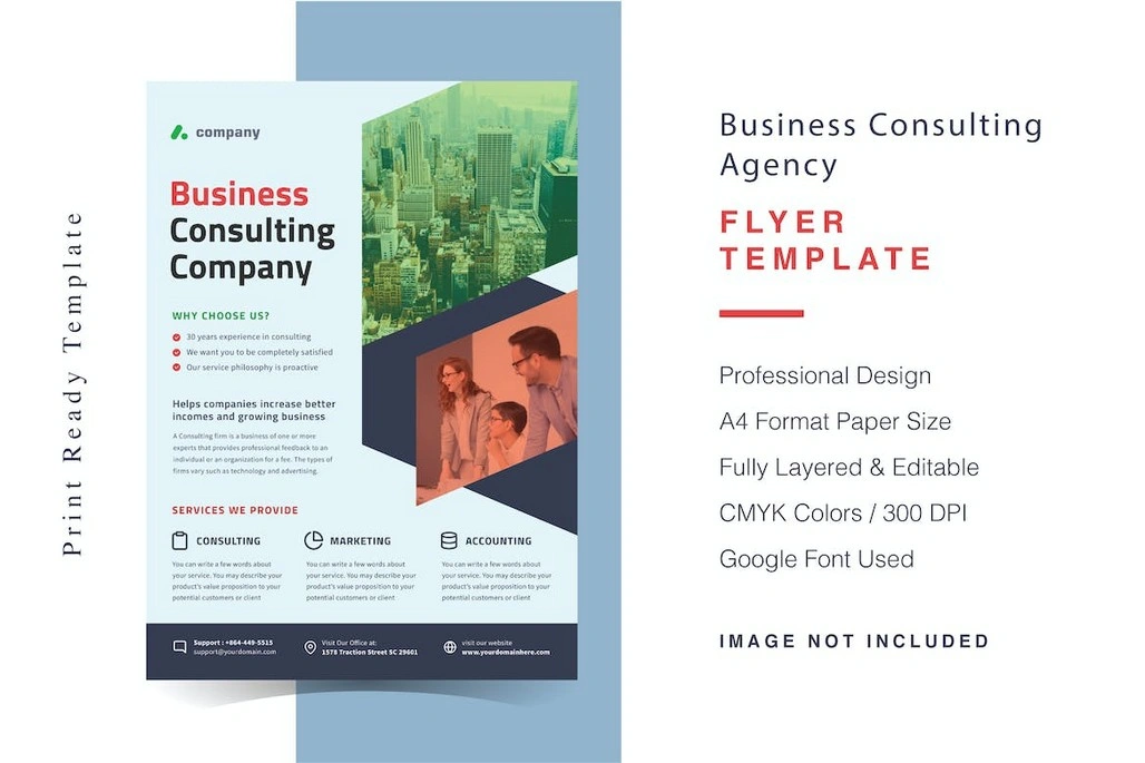 Business Consulting Agency Flyer Template