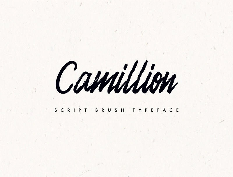 Camellion Brush Fonts