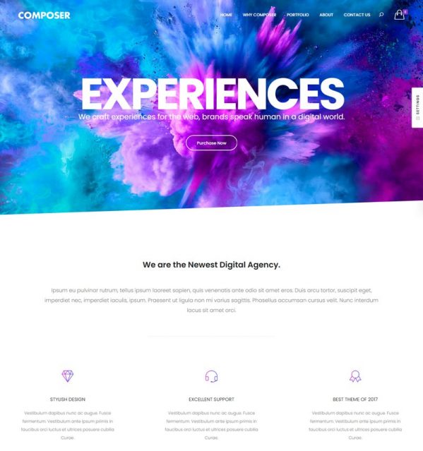 25+ Best Full Screen WordPress Themes 2021 - Templatefor