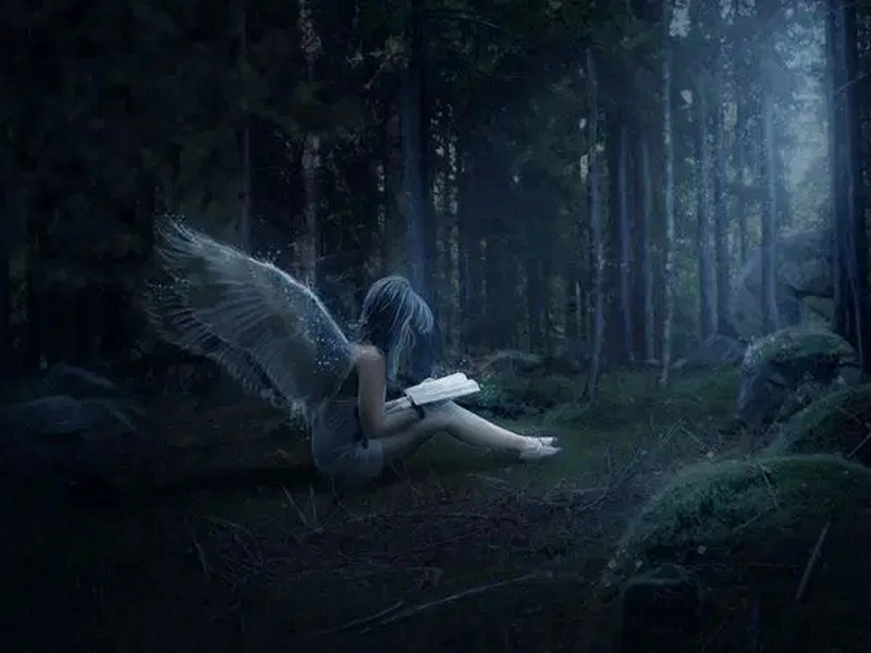 Mystical Night Forest Scene with an Angel