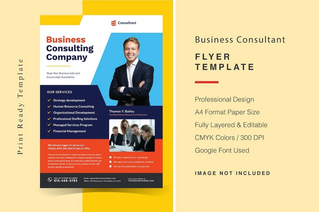 Creative Business Consultant Flyer