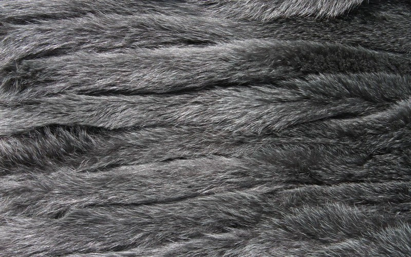 Fur Texture 10