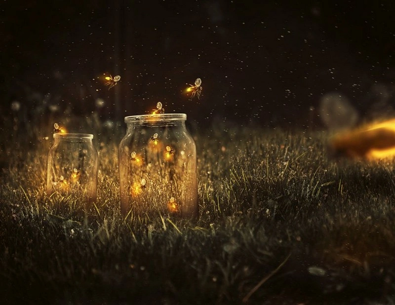 Glowing Fireflies Photo Manipulation in Adobe Photoshop