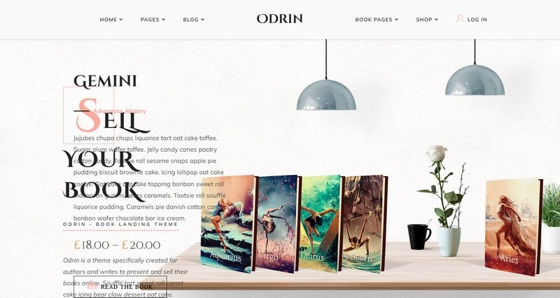 Odrin - Book Selling Theme for Writers