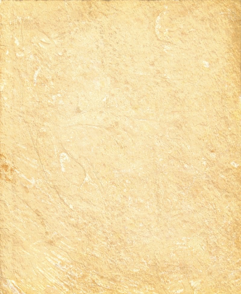 Paper Texture Free