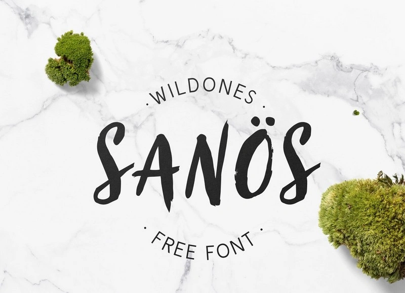 Sanös Brush Script Font
