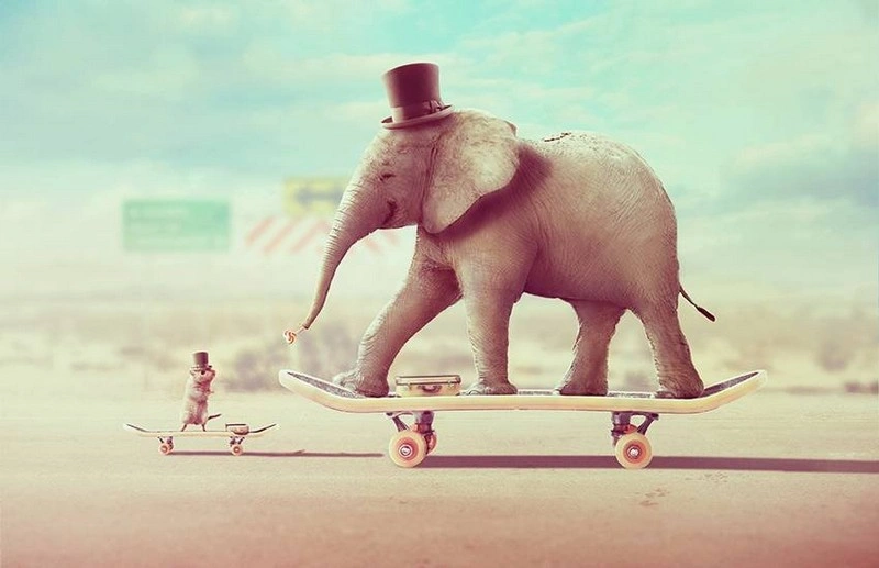 Surreal Animal Photo Manipulation With 10 Photos in Adobe Photoshop