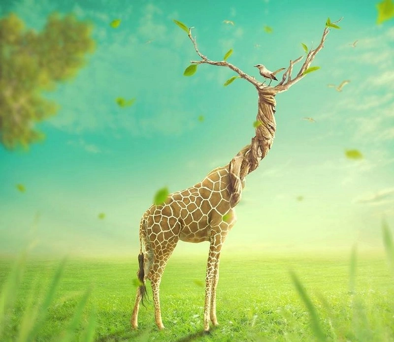 Surreal Giraffe Photo Manipulation With Adobe Photoshop
