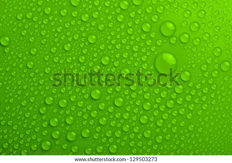 Water Drops on Green Background