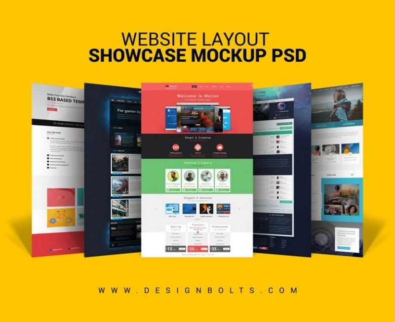 Website Layout Design Showcase Mock-up