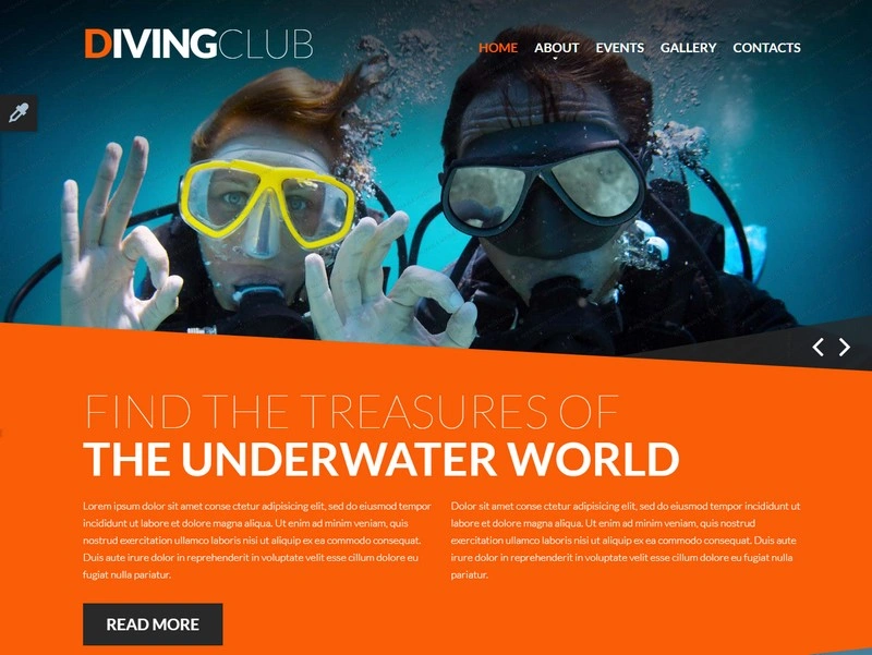 Website Template Diving Responsive