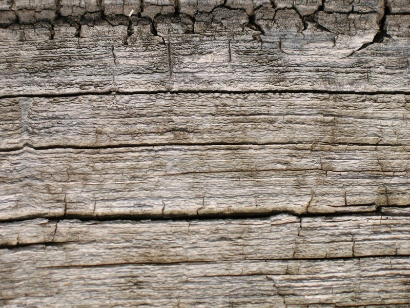 Wood Grain Texture 9